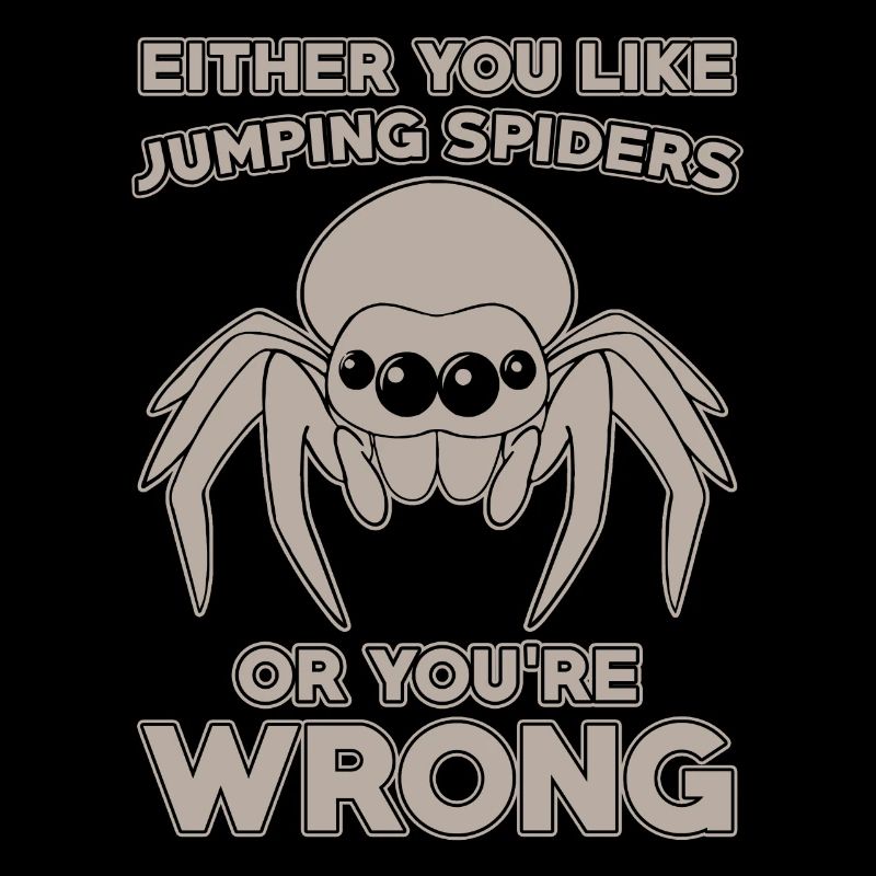 Dicton Jumping Spider