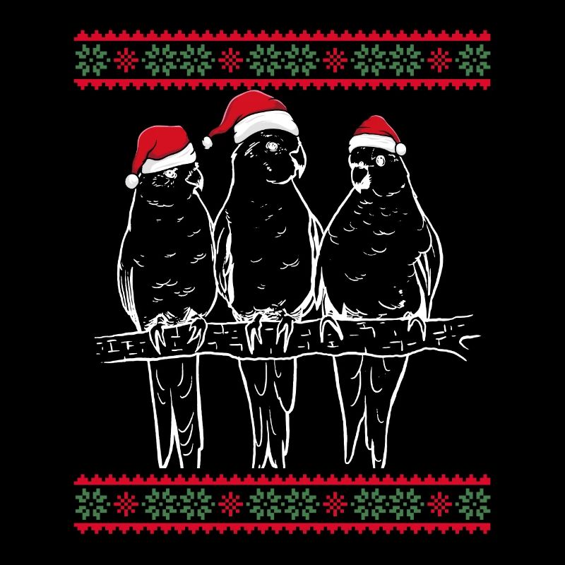 Parrots with Santa hats