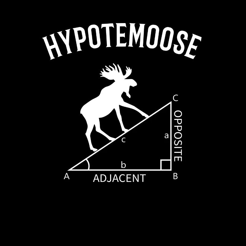 hypotemoose, math teacher hypotemoose
