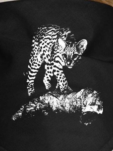 Ocelot