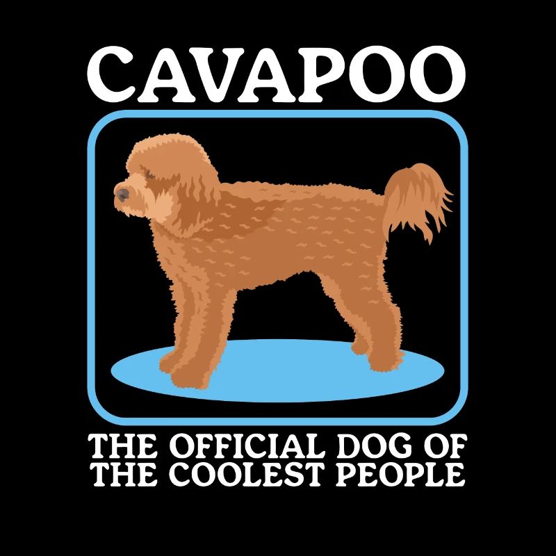 Cavapoo Hund Cavoodle Hundebesitzer Geschenk