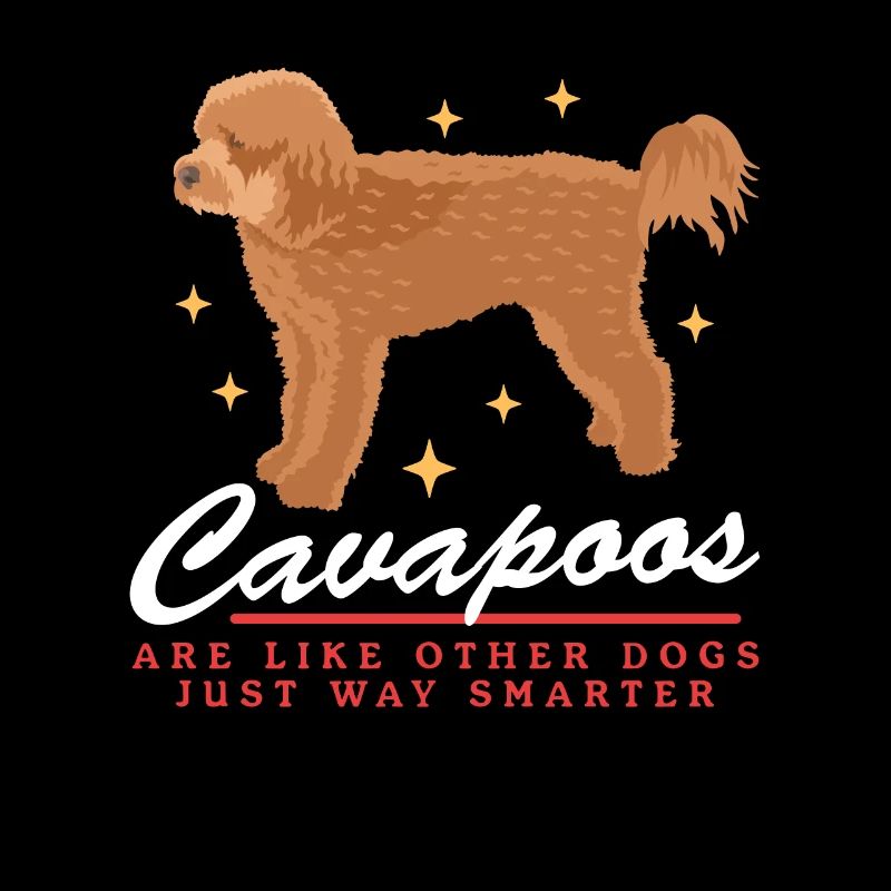 Cavapoo Hunde | Cavoodle Hundebesitzer Geschenk