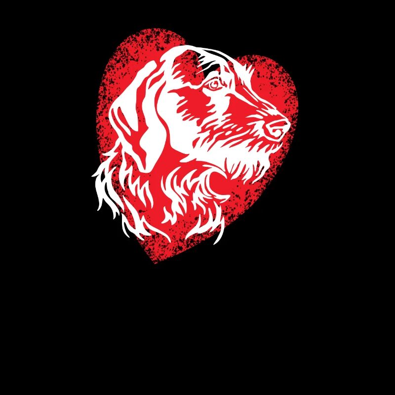 Hunde Deutsch Drahthaar Hundebesitzer