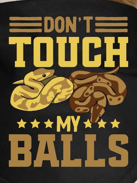 Ballpython Python Königspython
