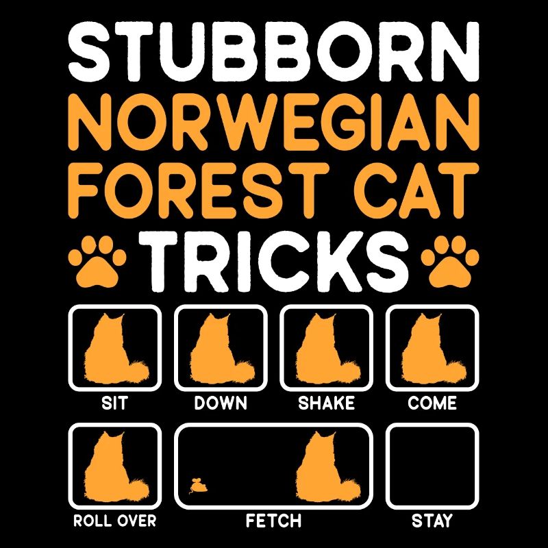Stubborn Tricks Norwegian Forest Cat Cat