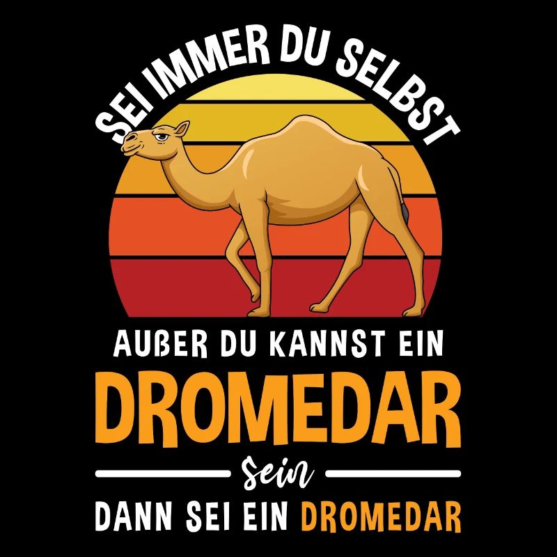 Wüsten Tier Dromedar Arabisches Tier Kamel