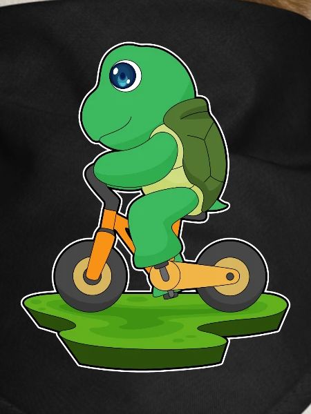 Turtle Bicycle