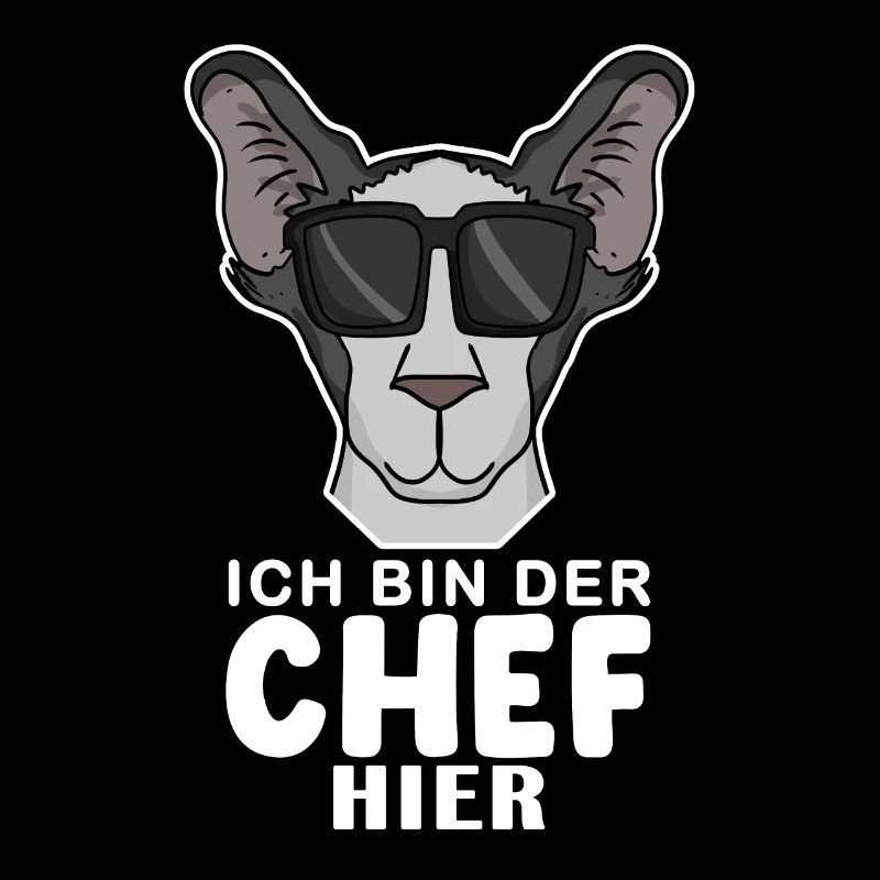Chef Spruch Anführer Hund