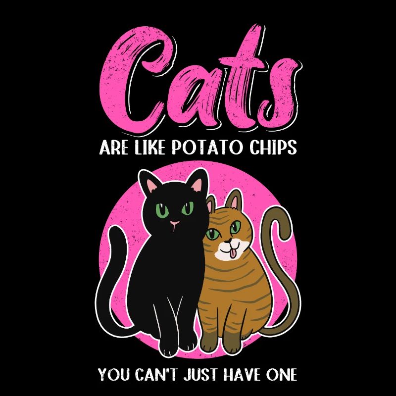 Les chats sont comme un cadeau de propriétaire de chat chat