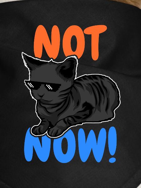 Drôle de chat