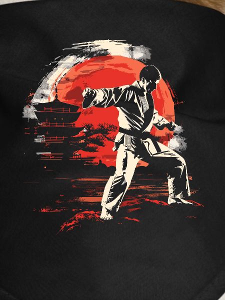 Graphiques Karateka