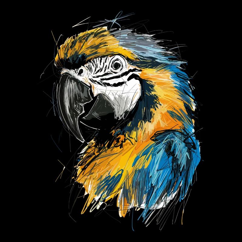 Perroquets Art Dessin Abstrait