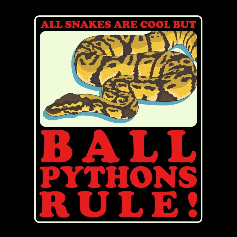 Königspython Python Schlange Geschenk