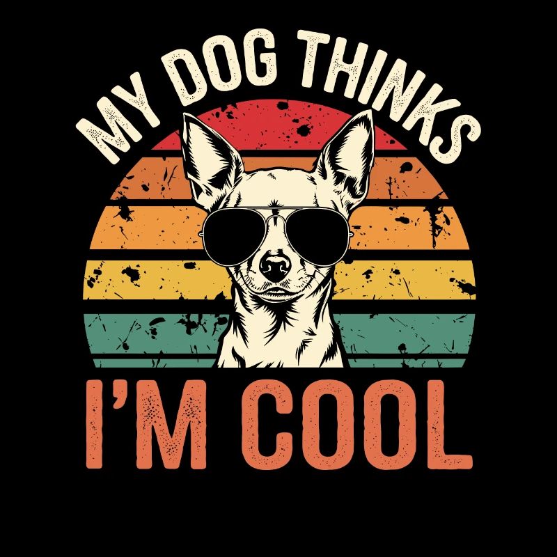 Chihuahua Mein Hund Denkt Das Ich Cool Bin