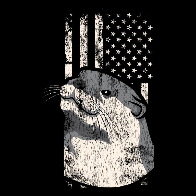Drapeau américain de la loutre