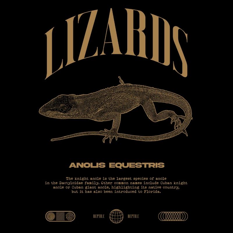 Cuban Knight Anole Reptile Keeper Lizard