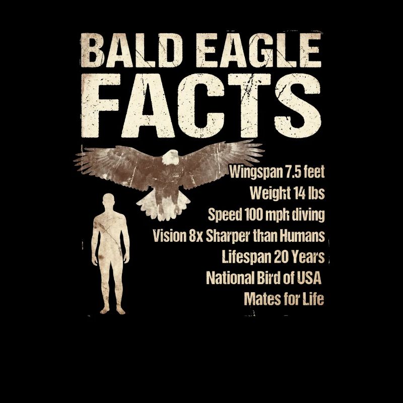 Bald Eagle Facts Bald Eagle Info
