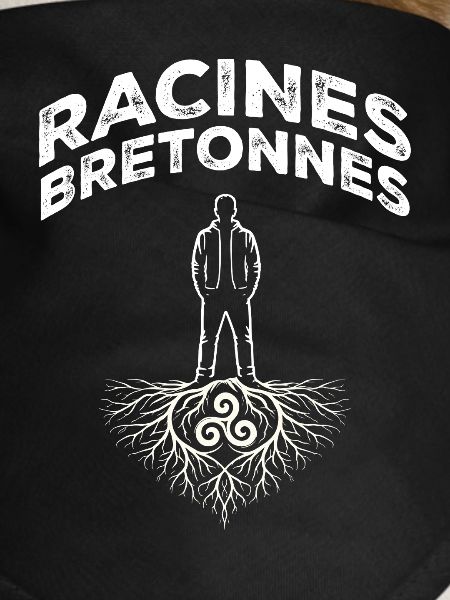 Brittany Breton Roots Triskell Identity