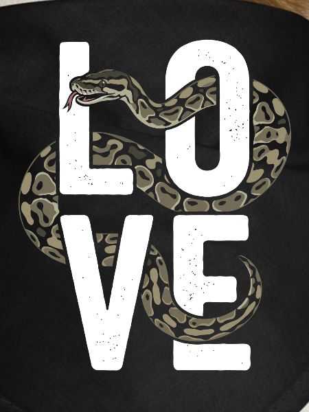 Königspython Schlangen LOVE Terrarium Python