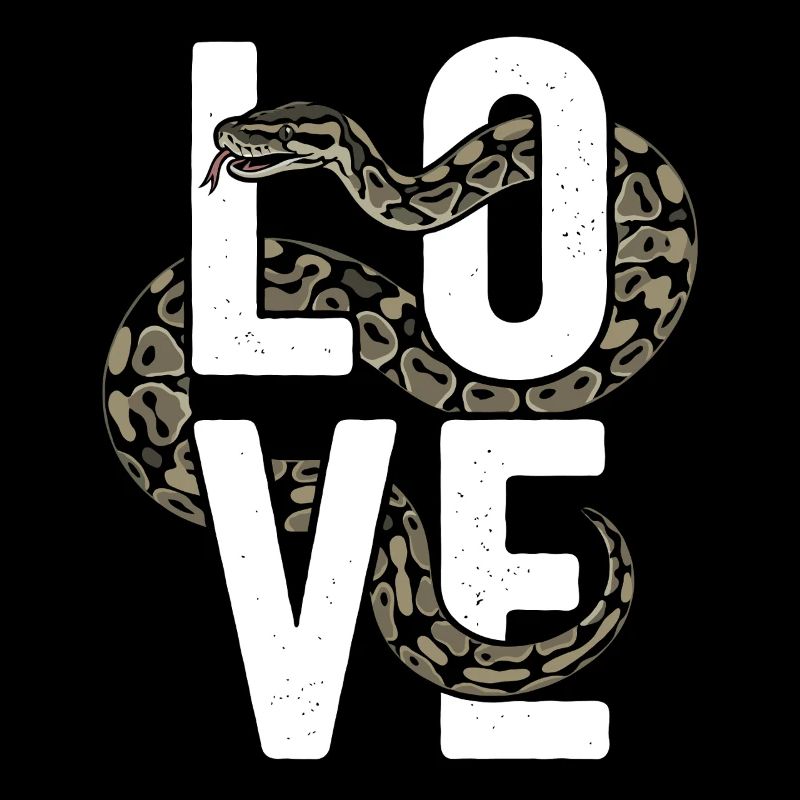 Les serpents rois Python ADORENT les pythons de terrarium