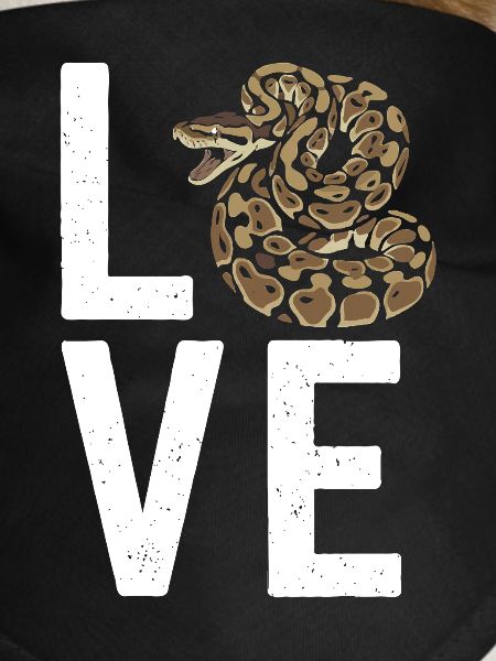 Königspython Schlangen LOVE Terrarium Python
