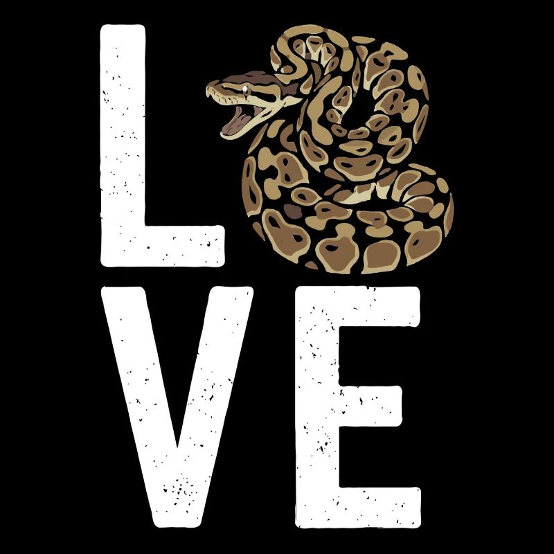 Königspython Schlangen LOVE Terrarium Python