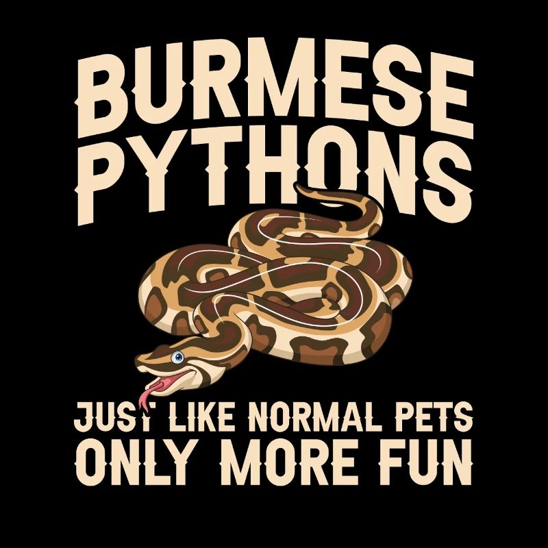 Burmesische Python liefert Schlangenliebhaber-Reptilienpfleger