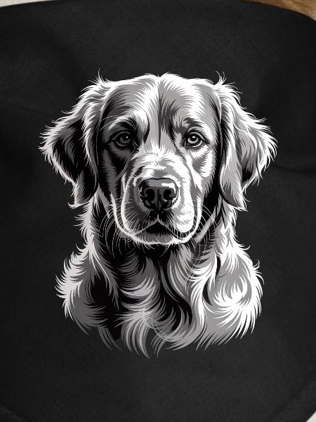 Labrador