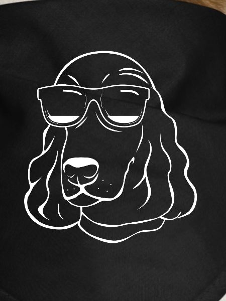 Cocker Spaniel