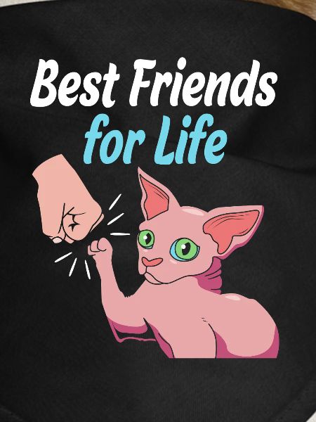 Sphynx Cats