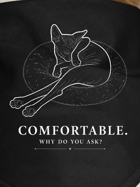Sphynx Cat – Comfortable