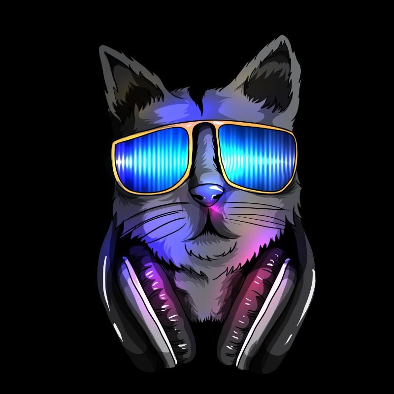 Félins techno Chat Electro Musique DJ Cat