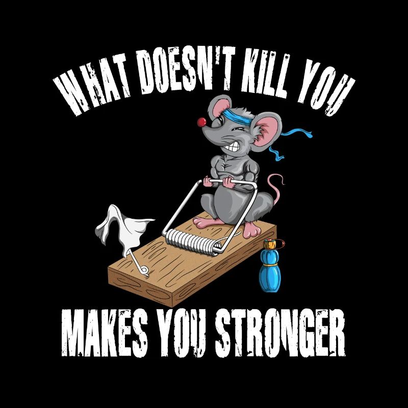 Fun Mouse Training Mousetrap Fitness Workout