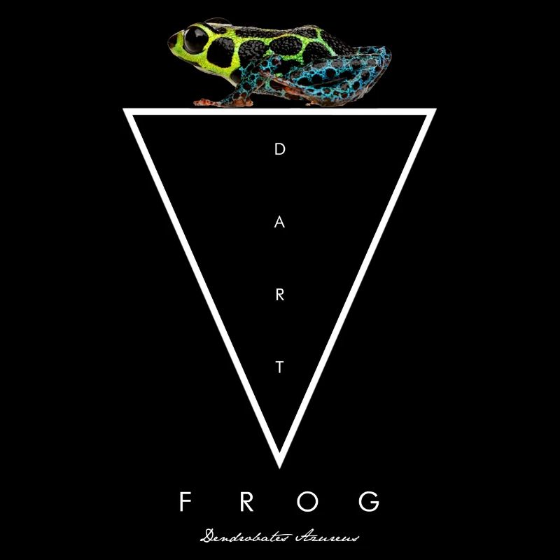 Mimische Pfeilgiftfrosch Ranitomeya Imitator