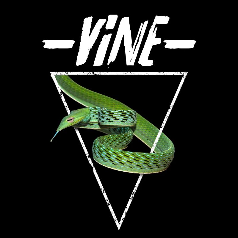 Asian Vine Snake Ahaetulla Prasina Geometric