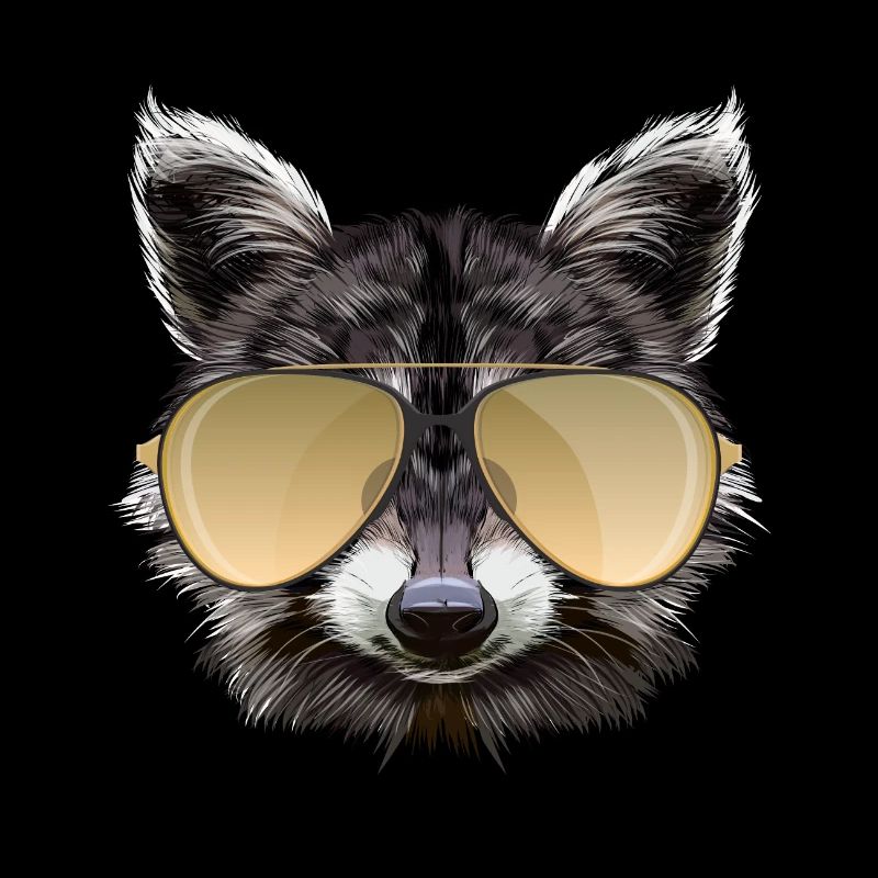 Waschbär mit Sonnenbrille