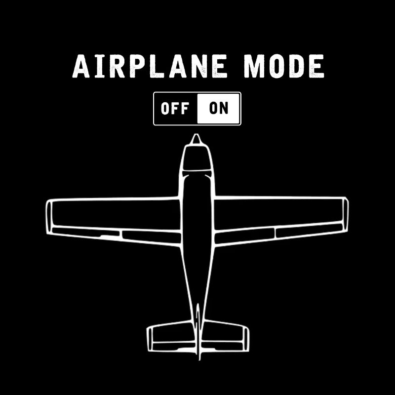 Cessna, C172, pilote et capitaine