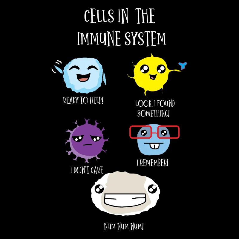 Cellules du système immunitaire du corps, biologie