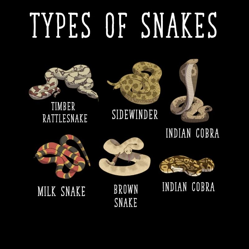 Types de serpents, Serpent, Types de serpents, Cobra