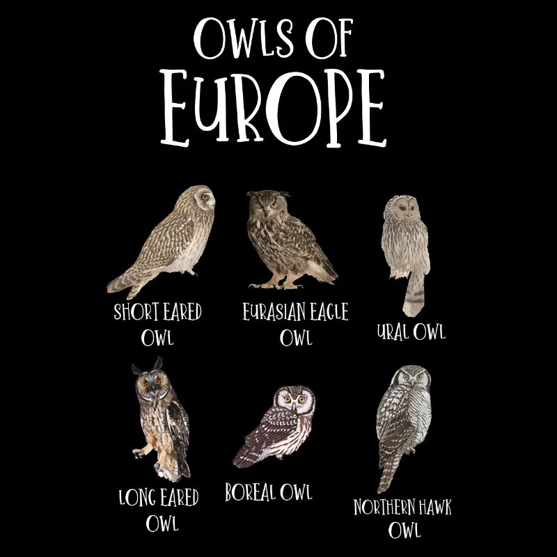 Eulenarten, Eulen & Kauze, Eule Fan