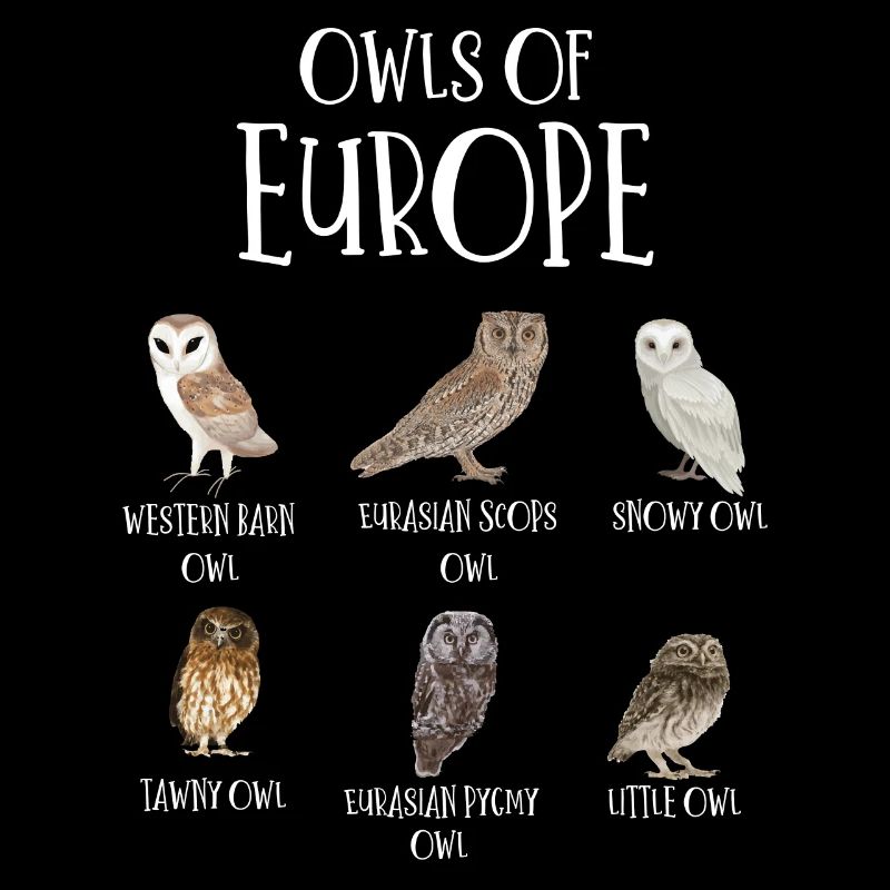 Eulenarten, Eulen & Kauze, Eule Fan