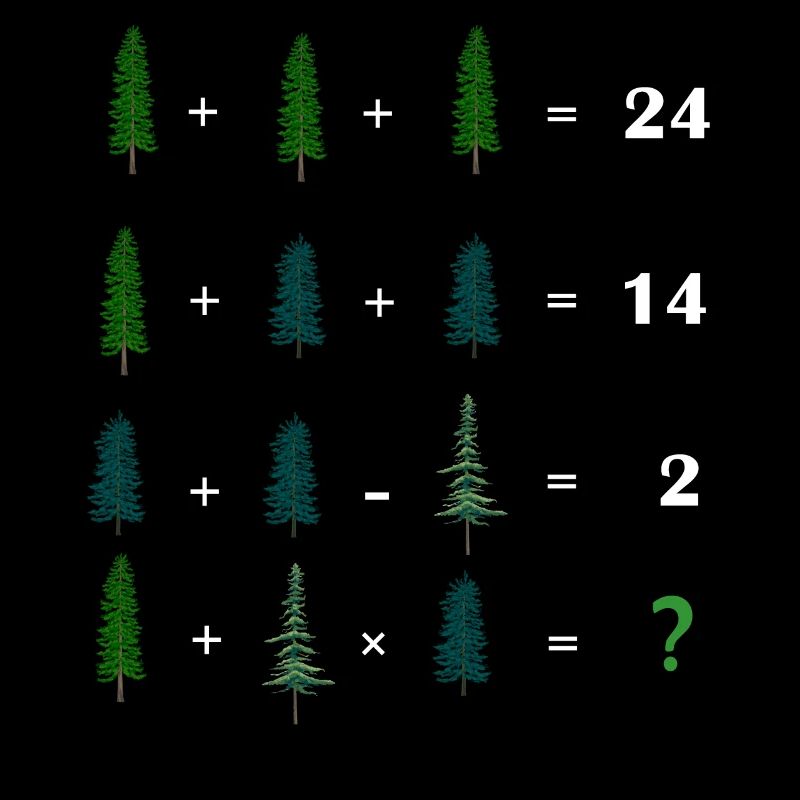 Math Teacher Equation