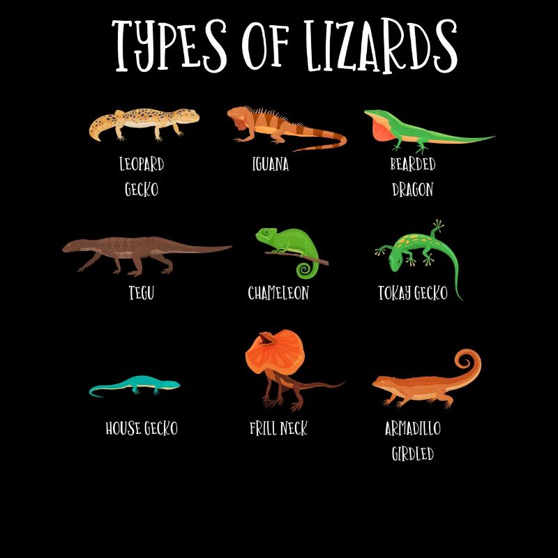 Types de lézards, lézards, reptiles