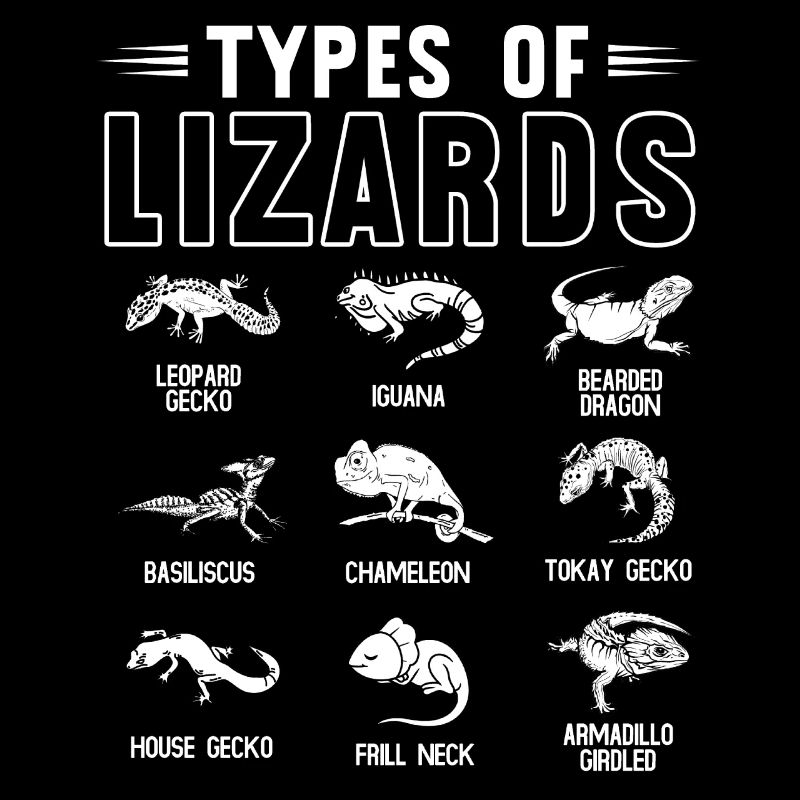 Types de lézards, lézards, reptiles