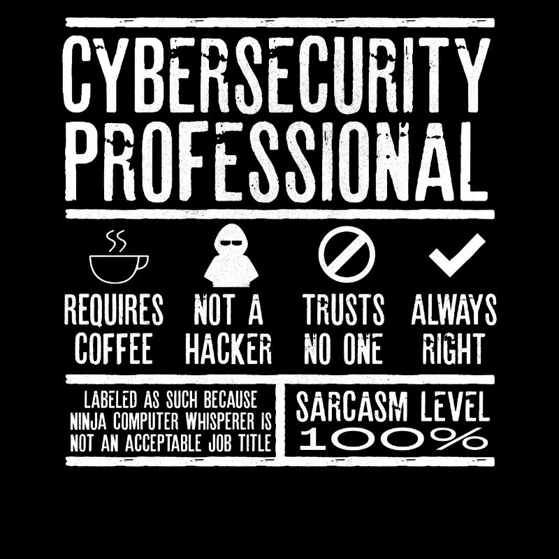 Expert en cybersécurité