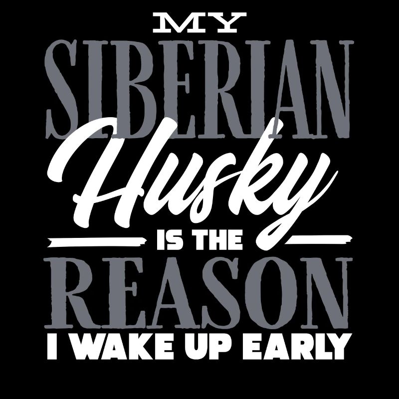 Husky sibérien