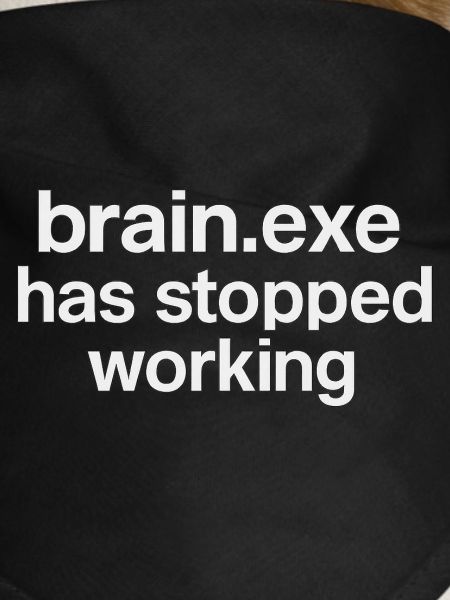 brain.exe has stopped working