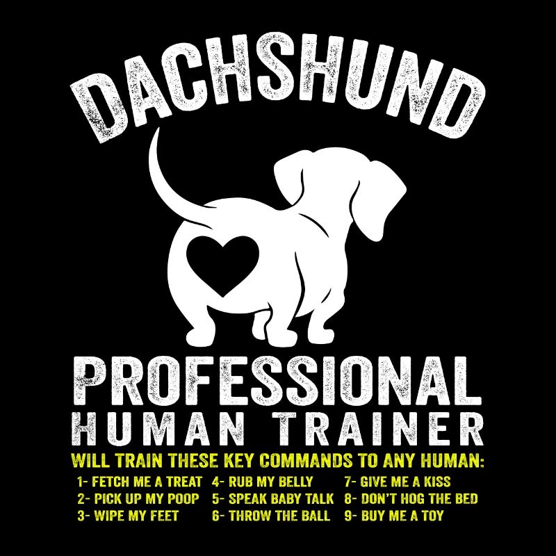 Beautiful Dachshund Pro Human Trainer Dachshund