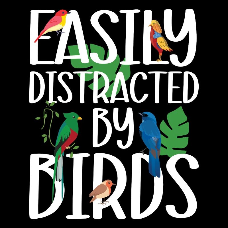 Facilement distrait par les oiseaux