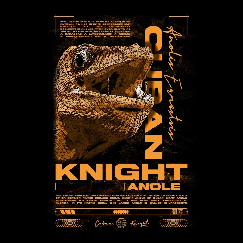 Cuban Knight Anole Reptile Keeper Lizard